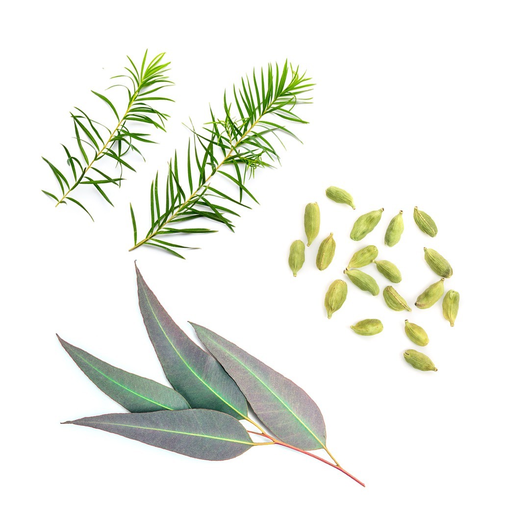 Blend respiratório Air doTERRA - 15 ml