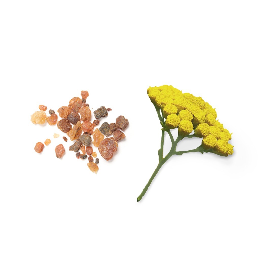 Blend de enraizamento Balance doTERRA - 15 ml