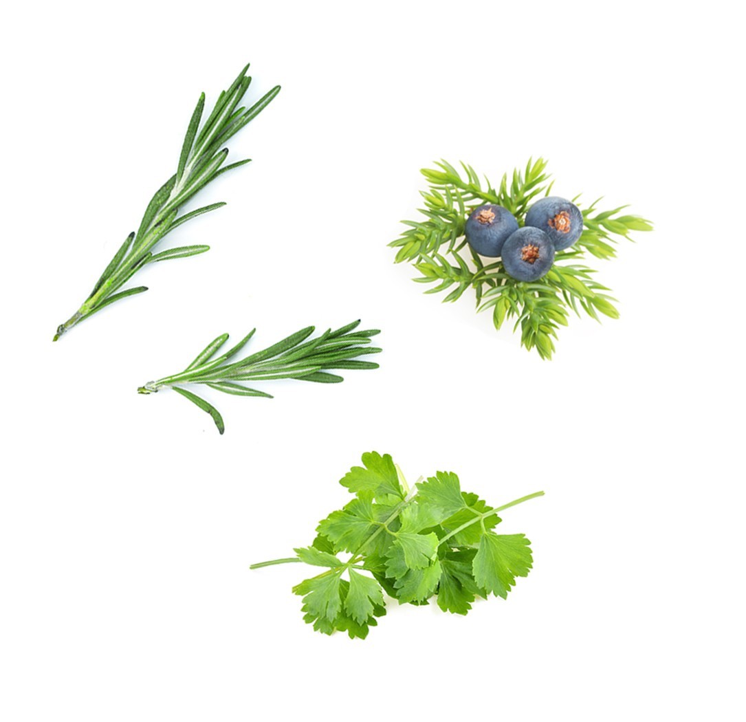 Blend restaurador Zendocrine doTERRA - 15 ml