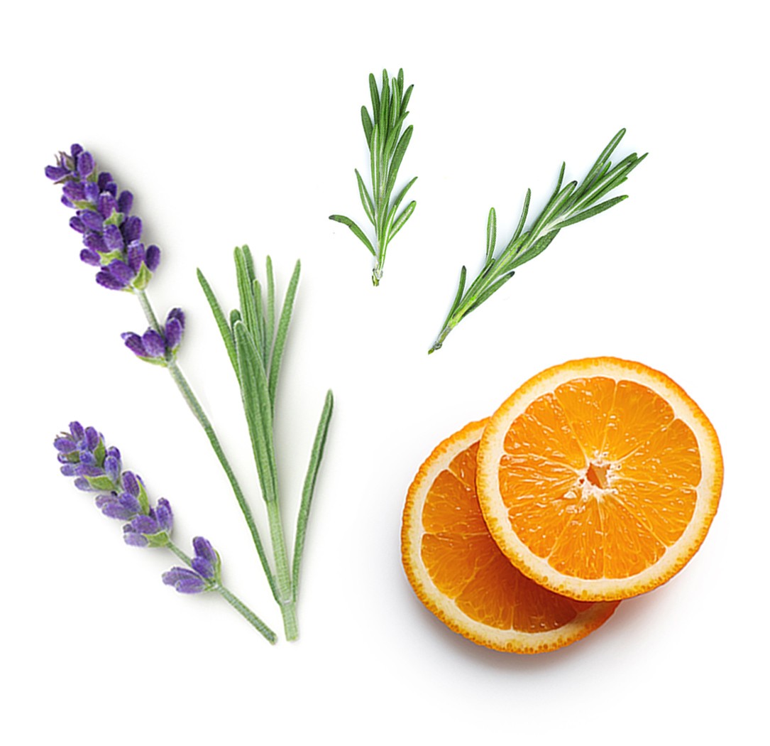 Blend de equilíbrio Adaptiv doTERRA Roll-on