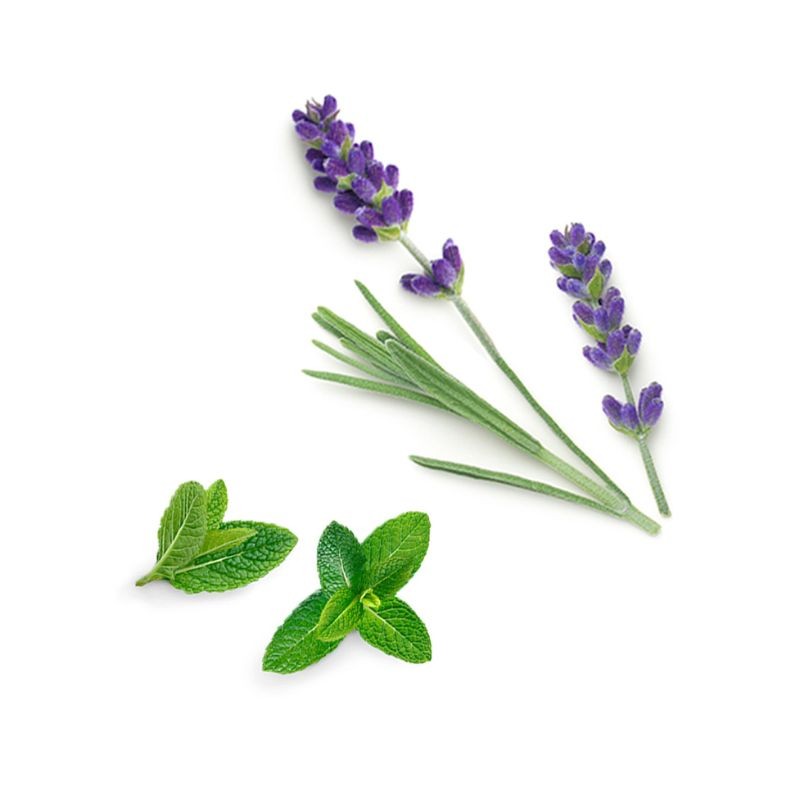 Blend calmante Rescuer doTERRA Roll-on - 10 ml