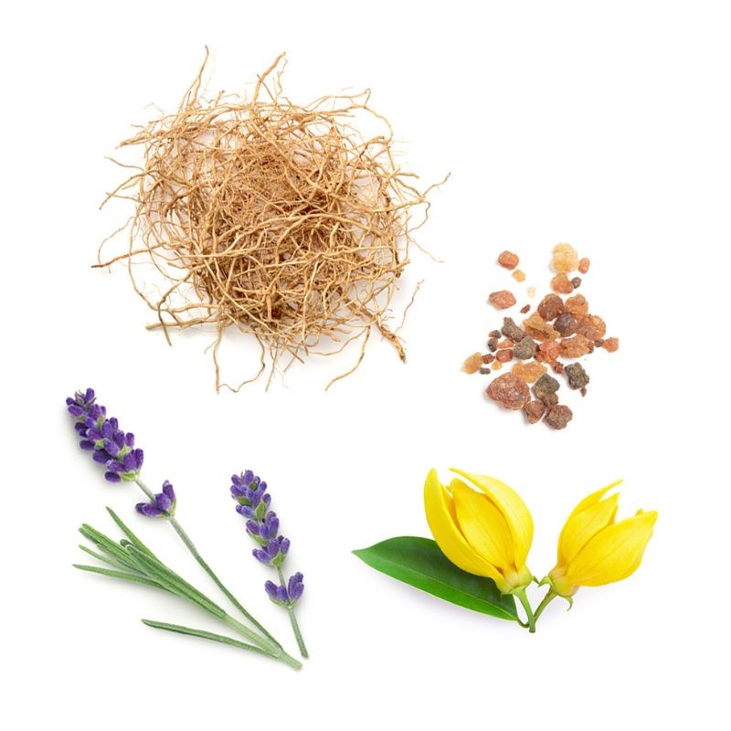 Blend reconfortante Peace doTERRA Roll-on - 10 ml