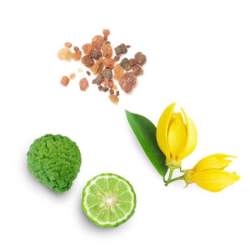 Blend de esperança Hope doTERRA Roll-on - 10 ml