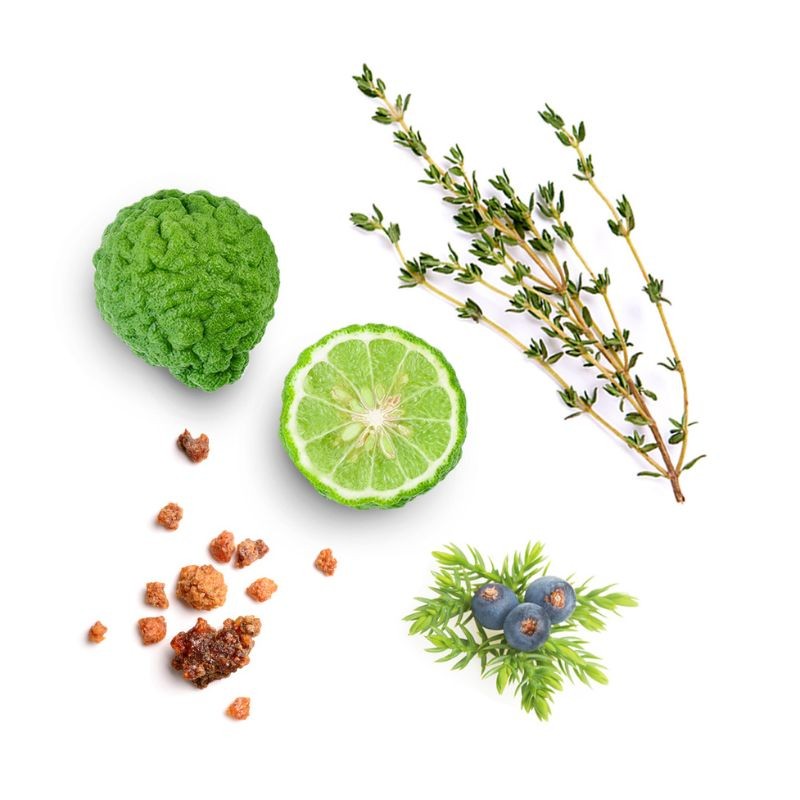 Blend de renovação Forgive doTERRA Roll-on