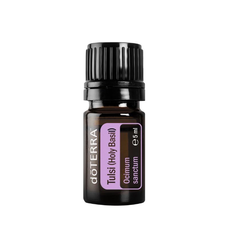 Óleo essencial de Tulsi (Manjericão sagrado) doTERRA