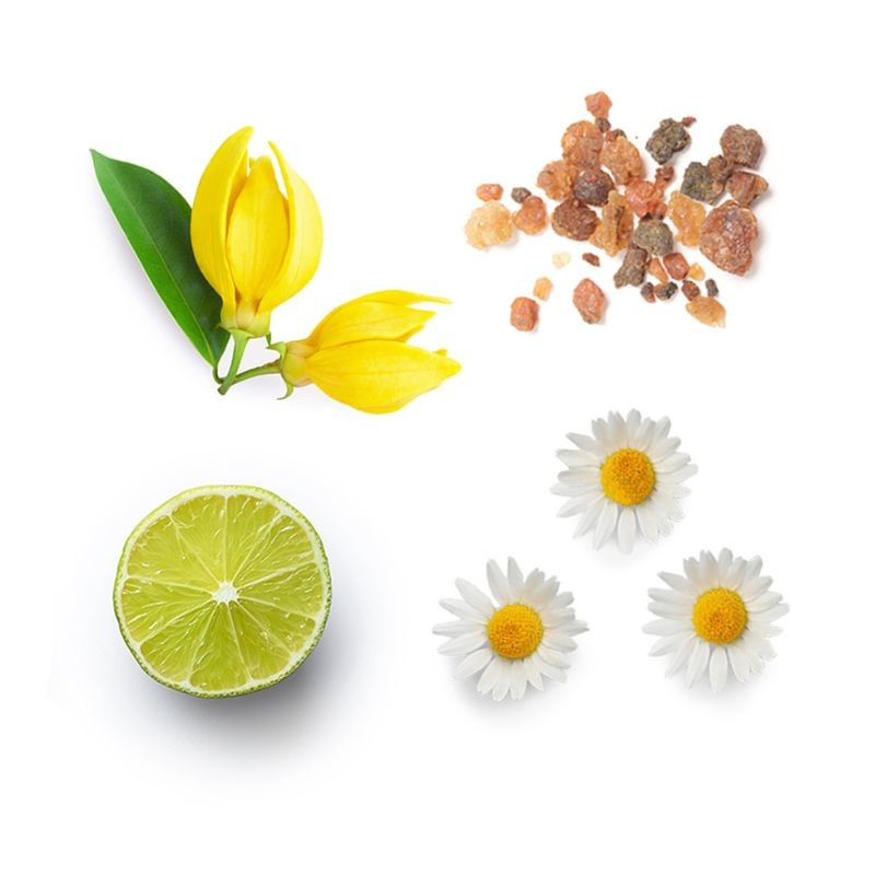 Blend de foco InTune doTERRA Roll-on
