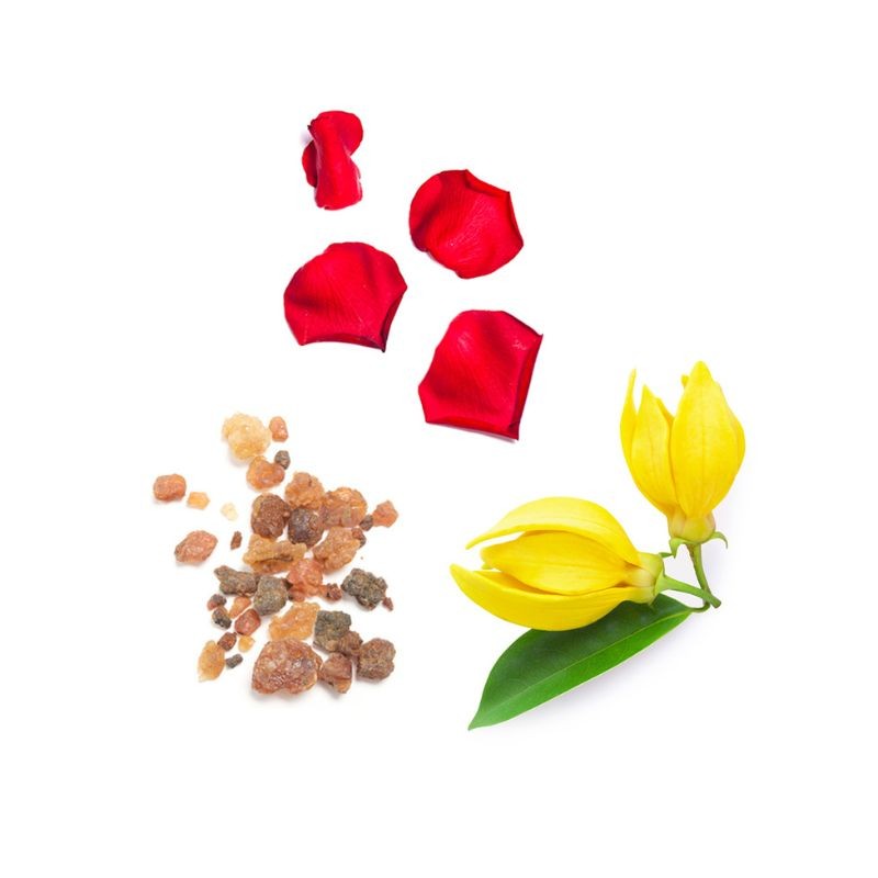 Blend reconfortante Console doTERRA - 5 ml