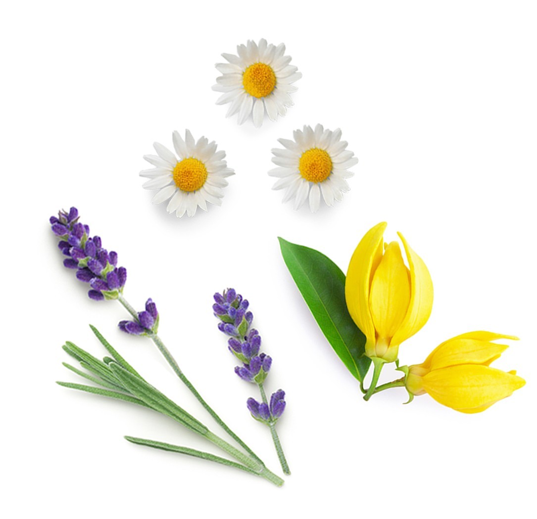 Pack combinado Serenity doTERRA