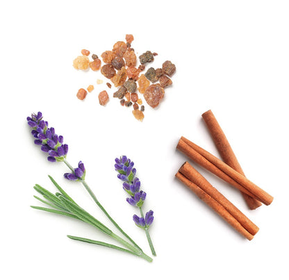 Blend de ancoragem (Anchor) doTERRA - 5 ml