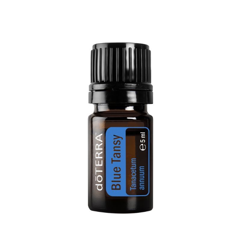 Óleo essencial de Tanaceto azul (Blue tansy) doTERRA