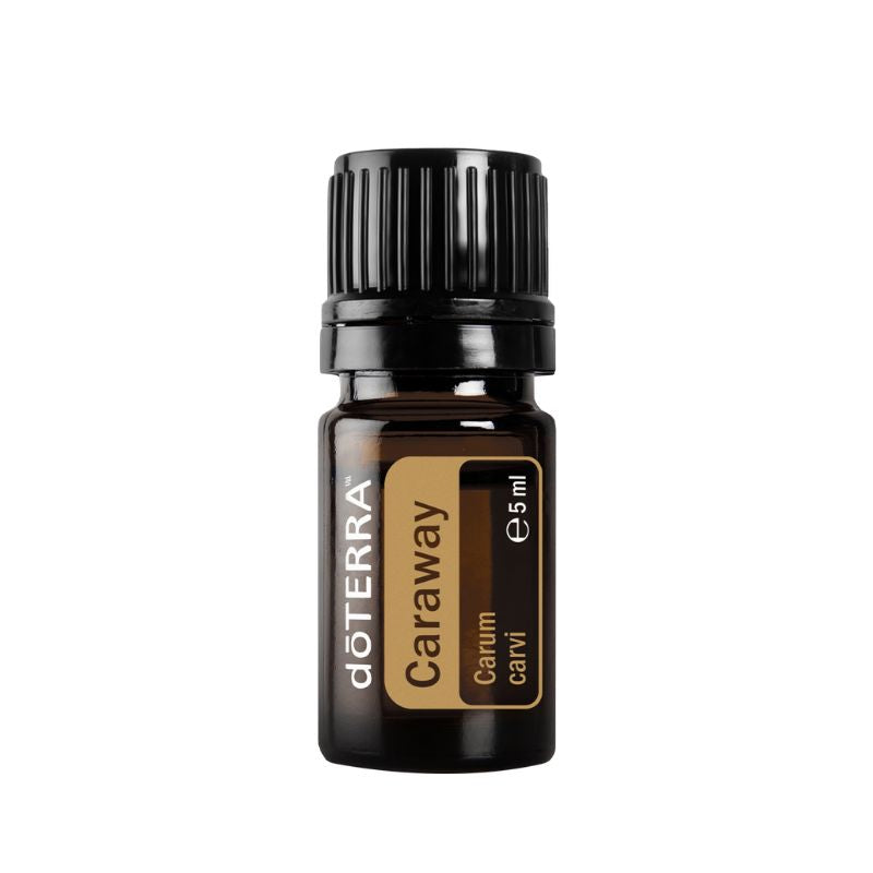 Óleo essencial de Caraway (Alcarávia) doTERRA